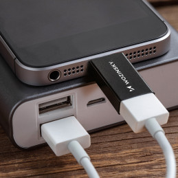 „Wozinsky W10GY1S“ USB-C – USB-A 3.2 10 Gb/ s adapteris – juodas