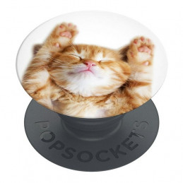 „Popsockets 2 Snoozy“ katės laikiklis ir telefono stovas