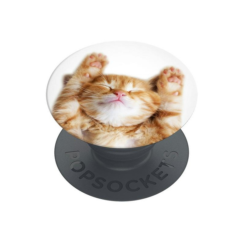 „Popsockets 2 Snoozy“ katės laikiklis ir telefono stovas