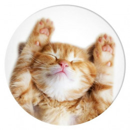 „Popsockets 2 Snoozy“ katės laikiklis ir telefono stovas