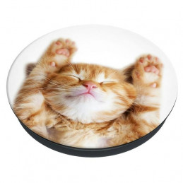 „Popsockets 2 Snoozy“ katės laikiklis ir telefono stovas