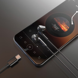 „Dudao X3C“ į ausis įdedamos laidinės USB-C ausinės, 1,2 m ilgio, juodos