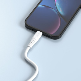 Dudao kabelis USB – USB Type C 6A 1 m baltas (TGL3T)