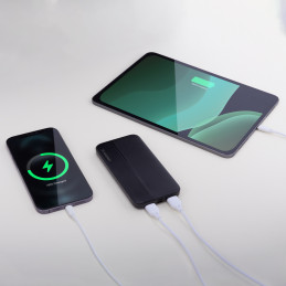 Wozinsky Li-Po maitinimo blokas 10000mAh 2 x USB juodas (WPBBK1)
