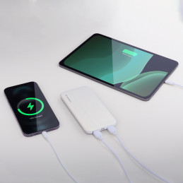 Wozinsky Li-Po maitinimo blokas 10000mAh 2 x USB baltas (WPBWE1)