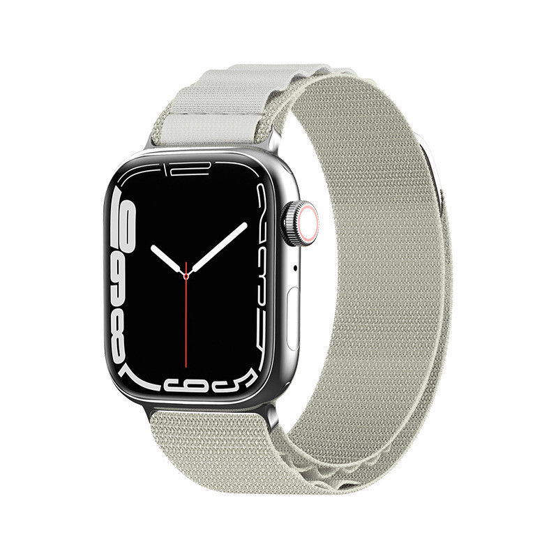Dirželis su Alpine plieno sagtimi Apple Watch 38/ 40/ 41 mm - sidabrinė