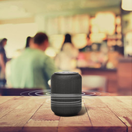 Tronsmart T6 Mini Bluetooth 5.3 15W belaidė kolonėlė – juoda