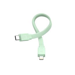 Powerbank Joyroom JR-PBM01 magnetinis 10000mAh 20W su stovu + Lightning laidas - USB-C - žalias