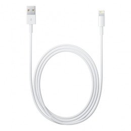 Apple kabelis USB-A - Lightning kabelis 2m baltas (MD819)