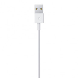 Apple kabelis USB-A - Lightning kabelis 2m baltas (MD819)