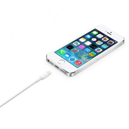 Apple kabelis USB-A - Lightning kabelis 2m baltas (MD819)