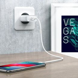 Ugreen US171 Lightning – USB-C MFi PD 20W 480Mb/ s 1m laidas – baltas